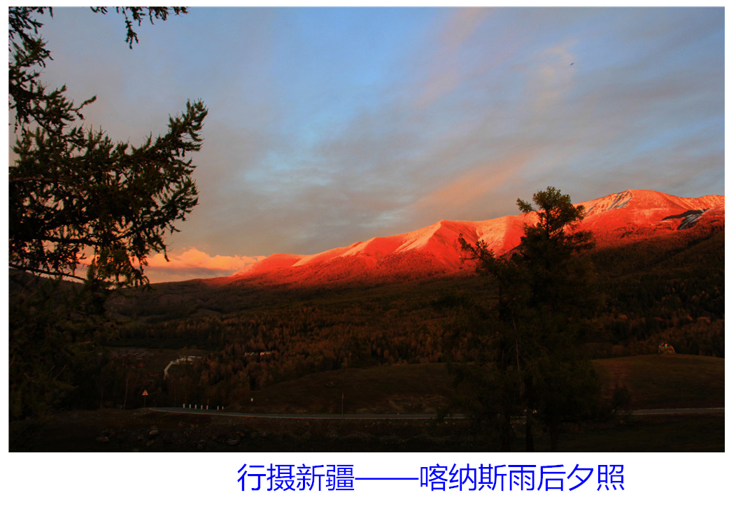 IMG_2579-2_副本-2.jpg