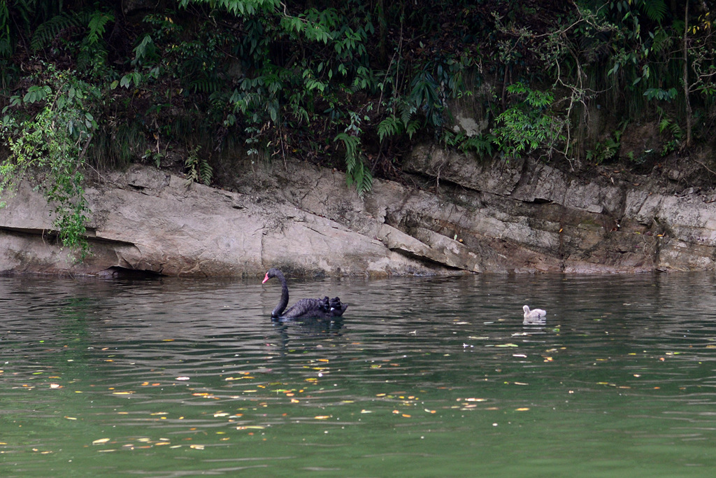 DSC_6289.JPG