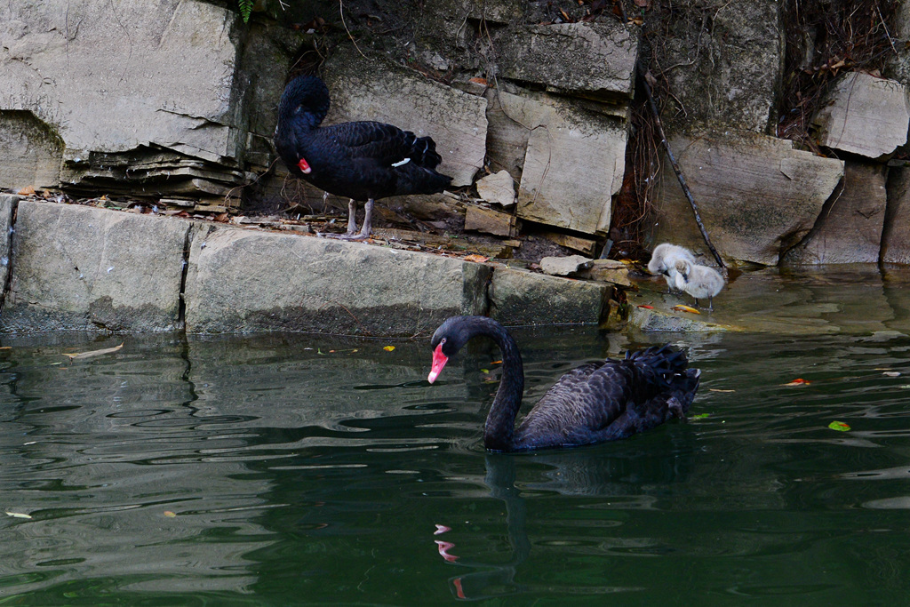 DSC_6310.JPG