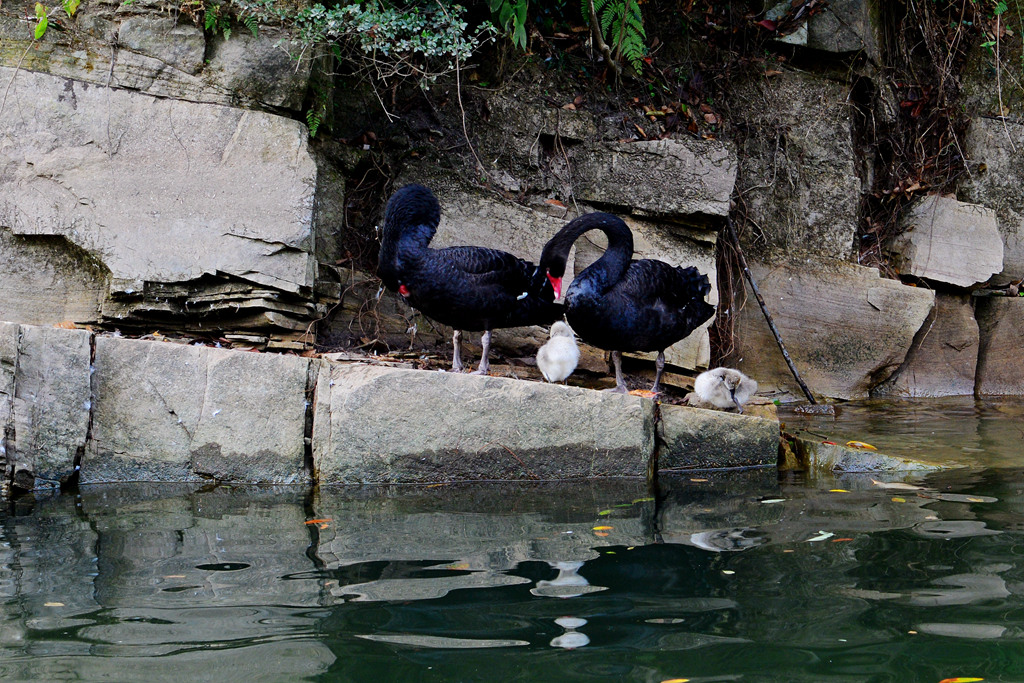 DSC_6314.JPG