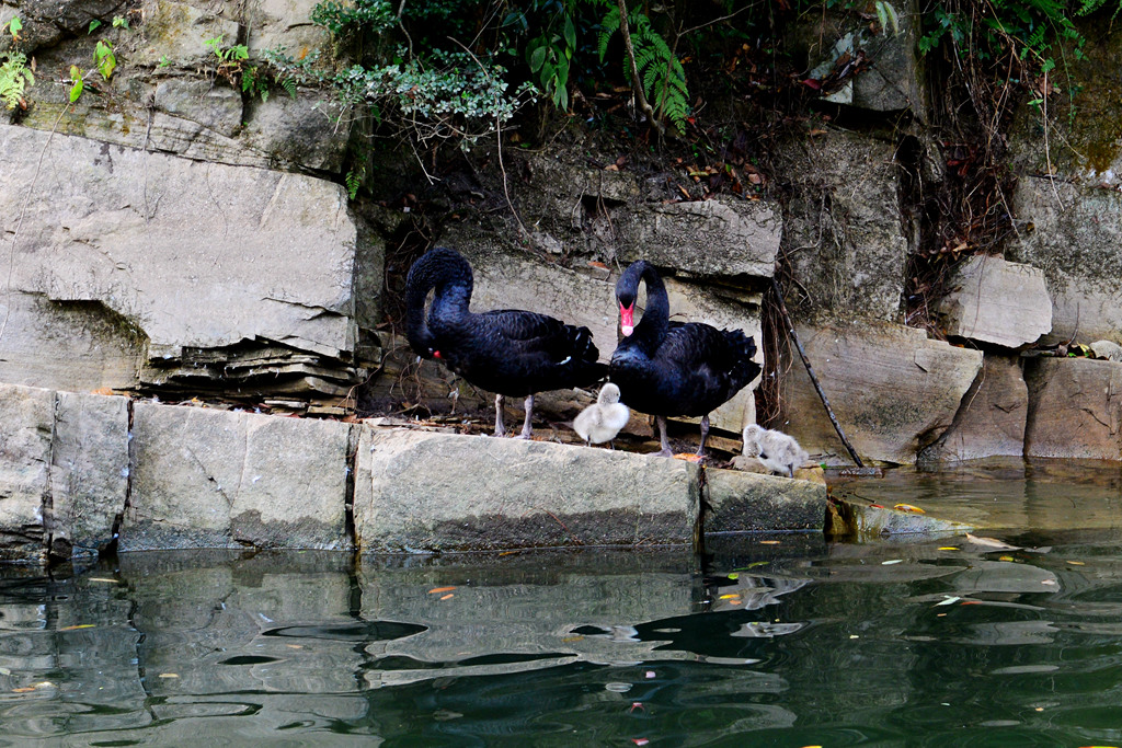 DSC_6315.JPG