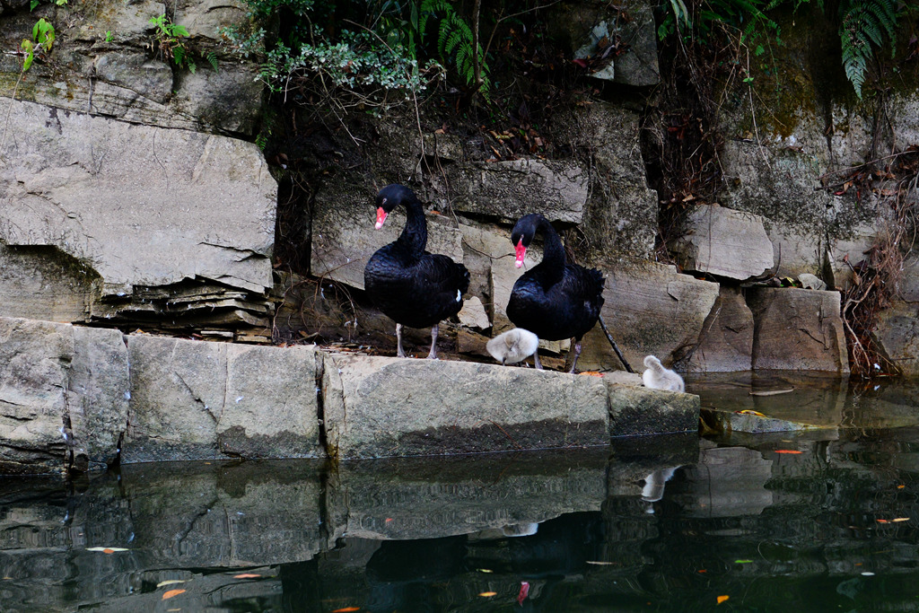 DSC_6317.JPG