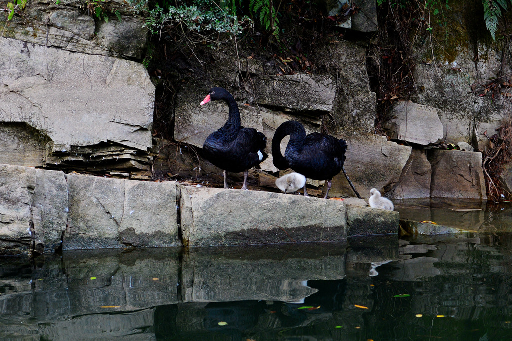 DSC_6318.JPG
