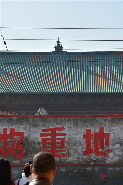 DSC_7951_副本.jpg