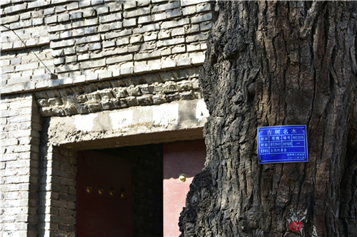 DSC_7963_副本.jpg