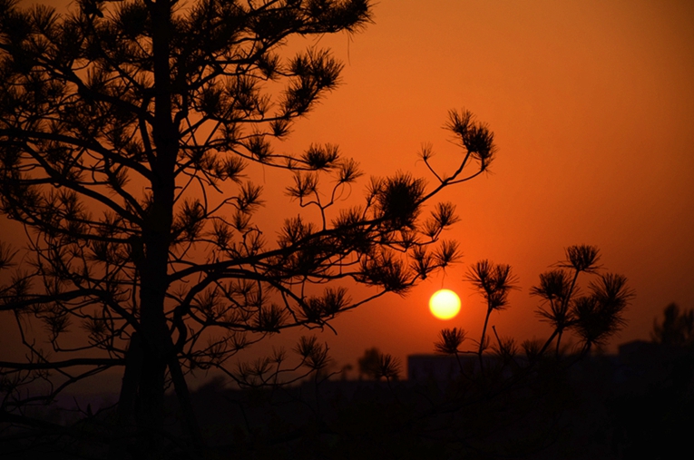 DSC_4481.JPG