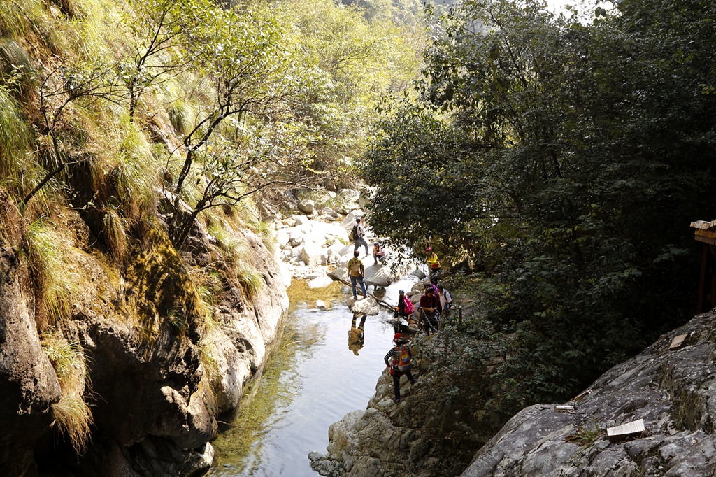 _MG_2928.jpg