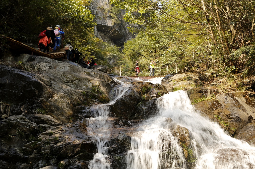 _MG_2931.jpg