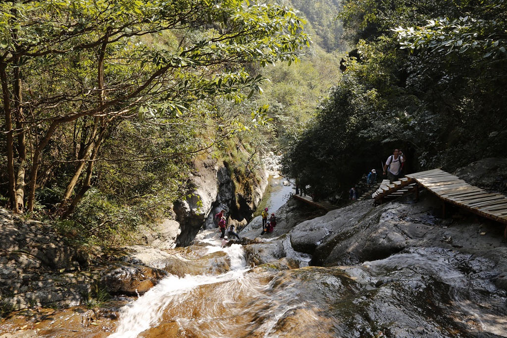 _MG_2943.jpg