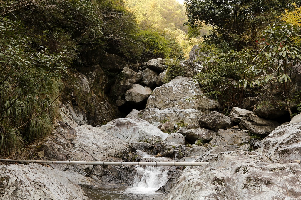 _MG_2949.jpg
