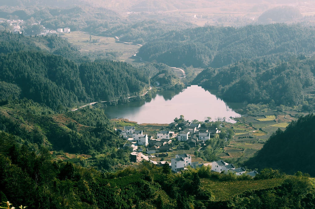 _MG_3035.jpg