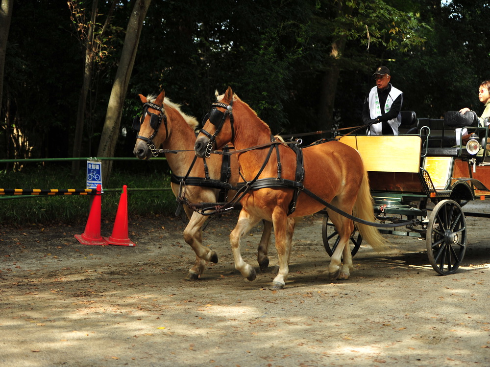 DSC_5946.JPG