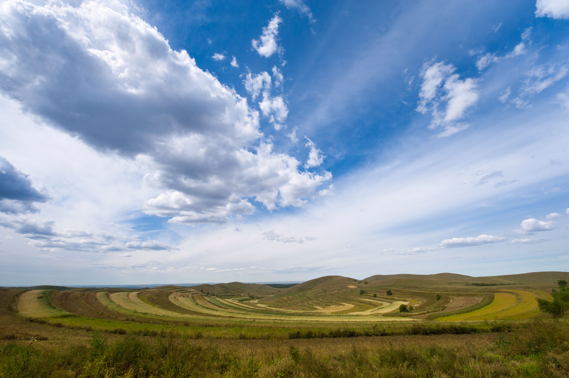 D70_1881.JPG