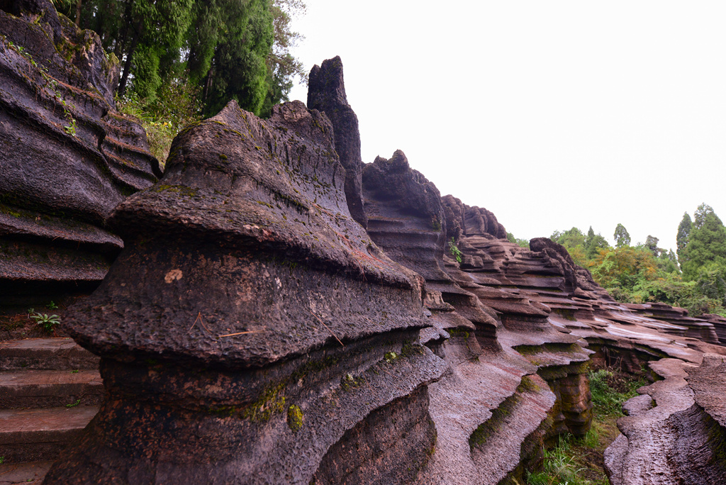 DSC_6628_1.jpg