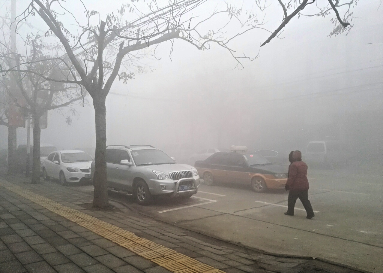 aviary-image-1450836965457.jpeg