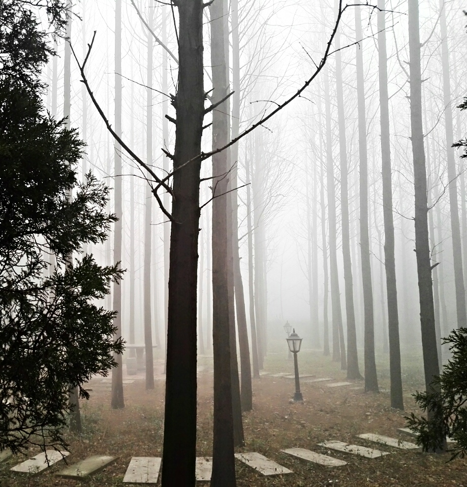 aviary-image-1450835198714.jpeg