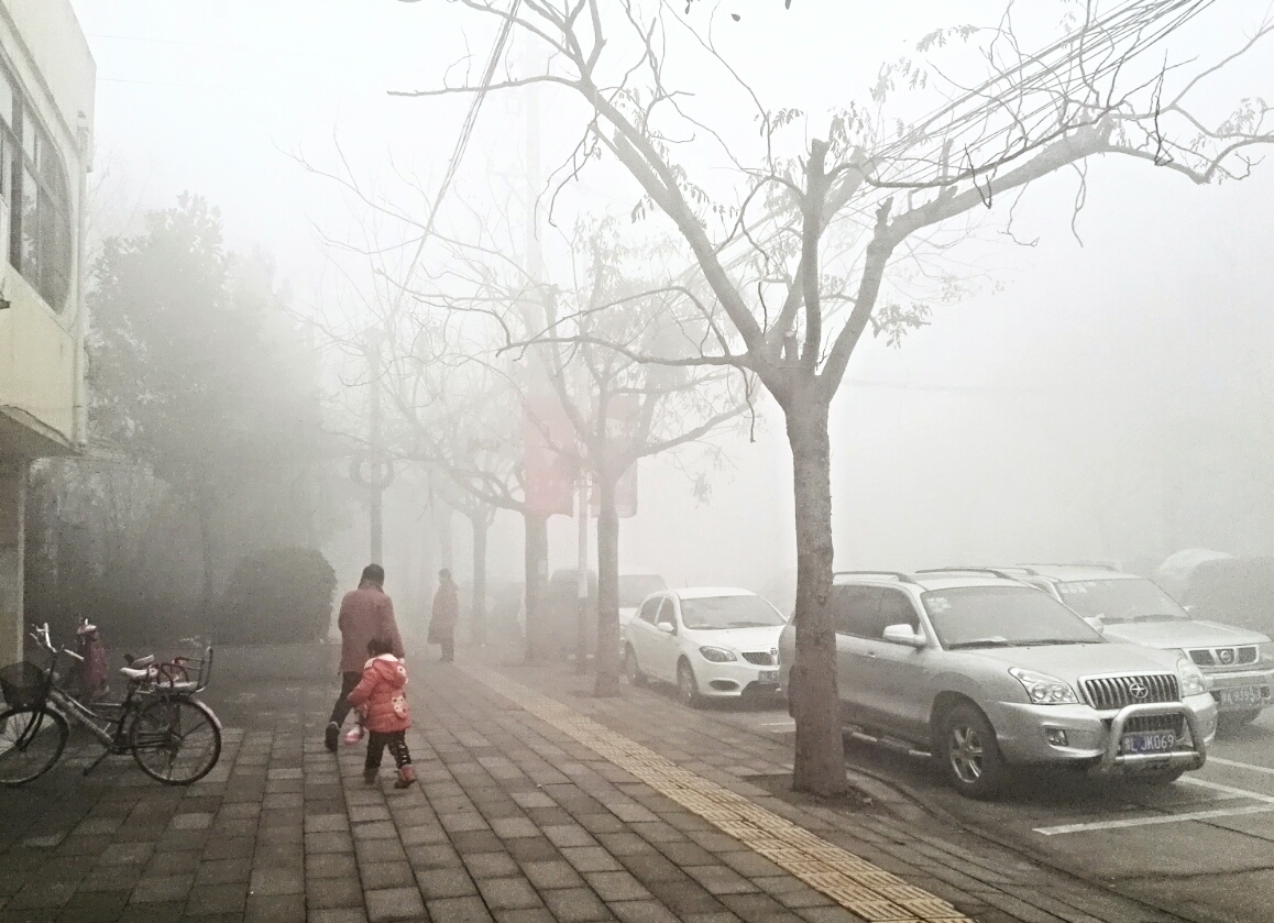 aviary-image-1450836631566.jpeg