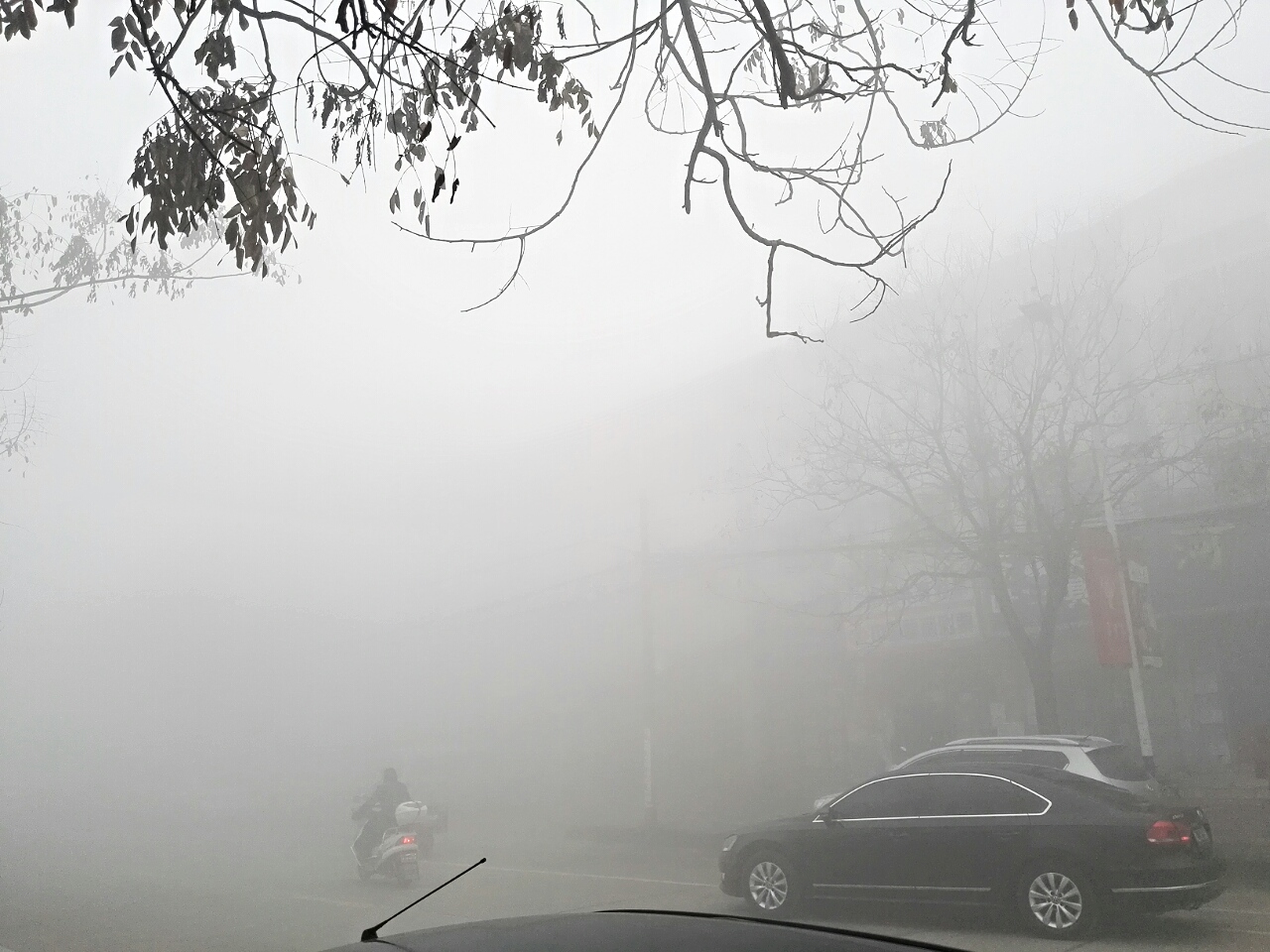aviary-image-1450836714620.jpeg
