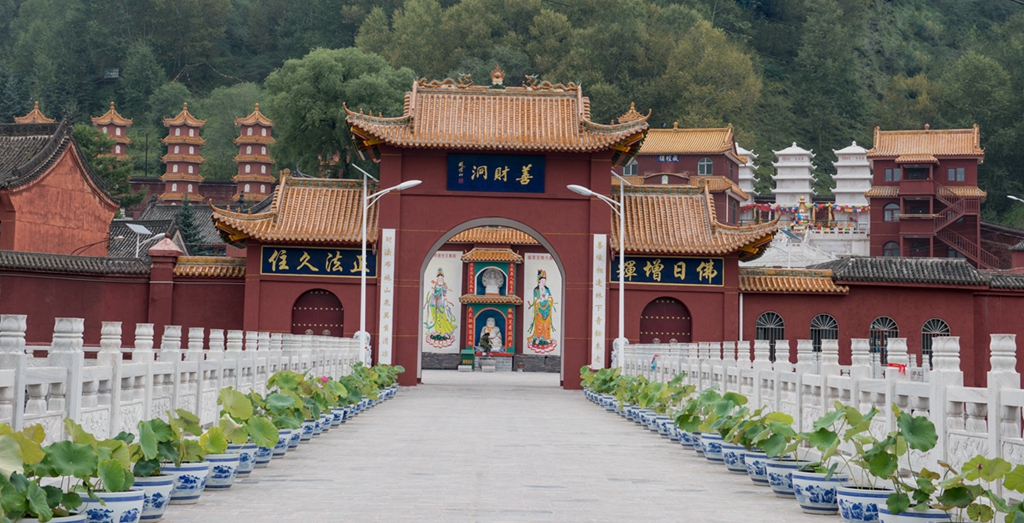 _DSC4527副本.jpg