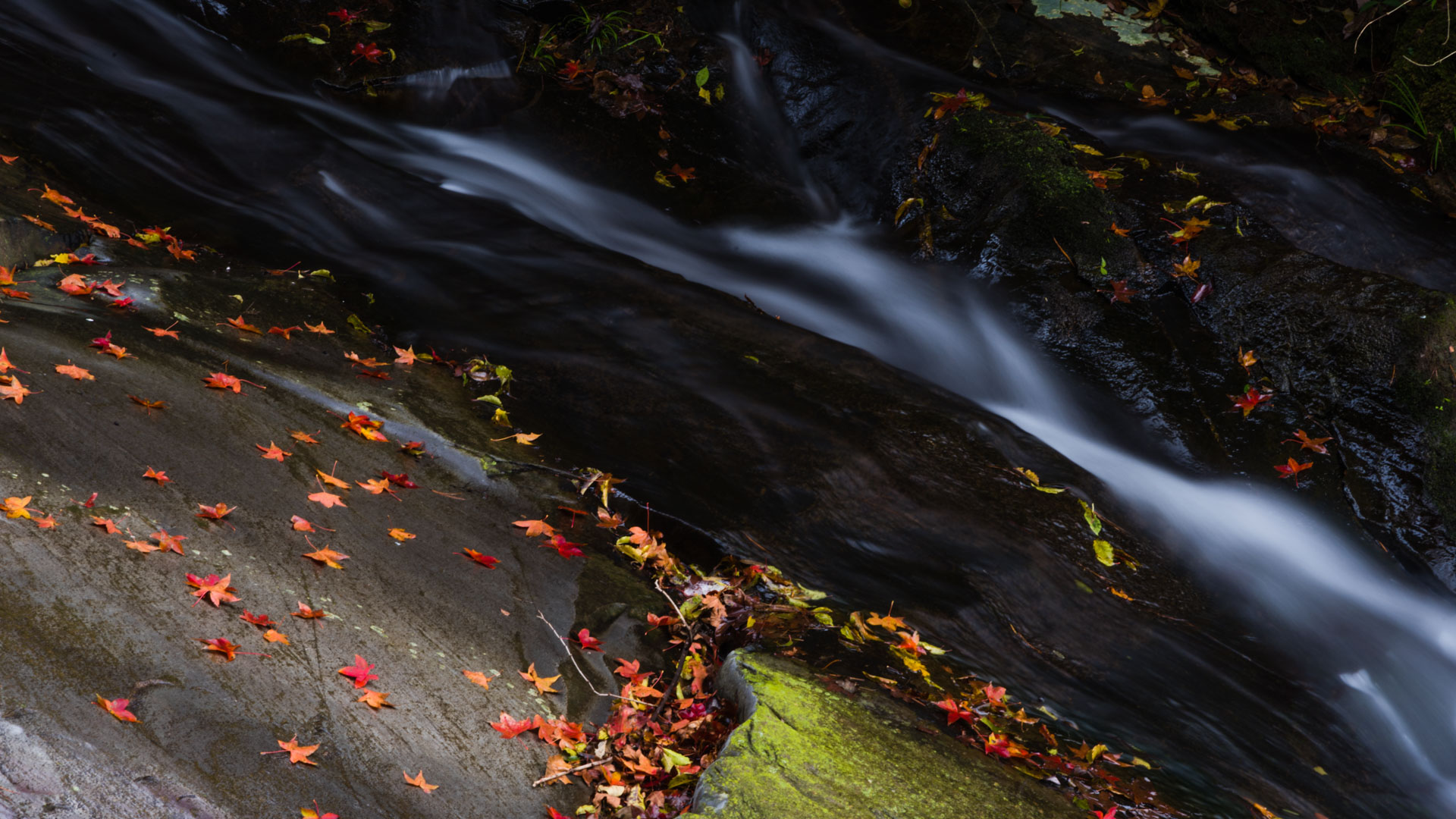 DSC_5913-2.jpg