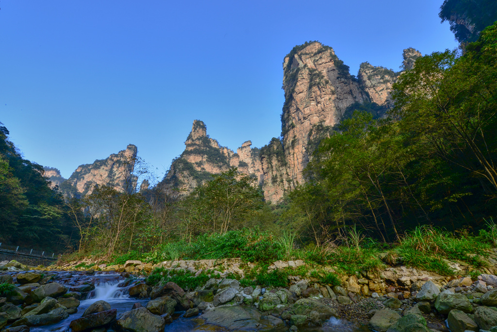 DSC_6200_1.jpg