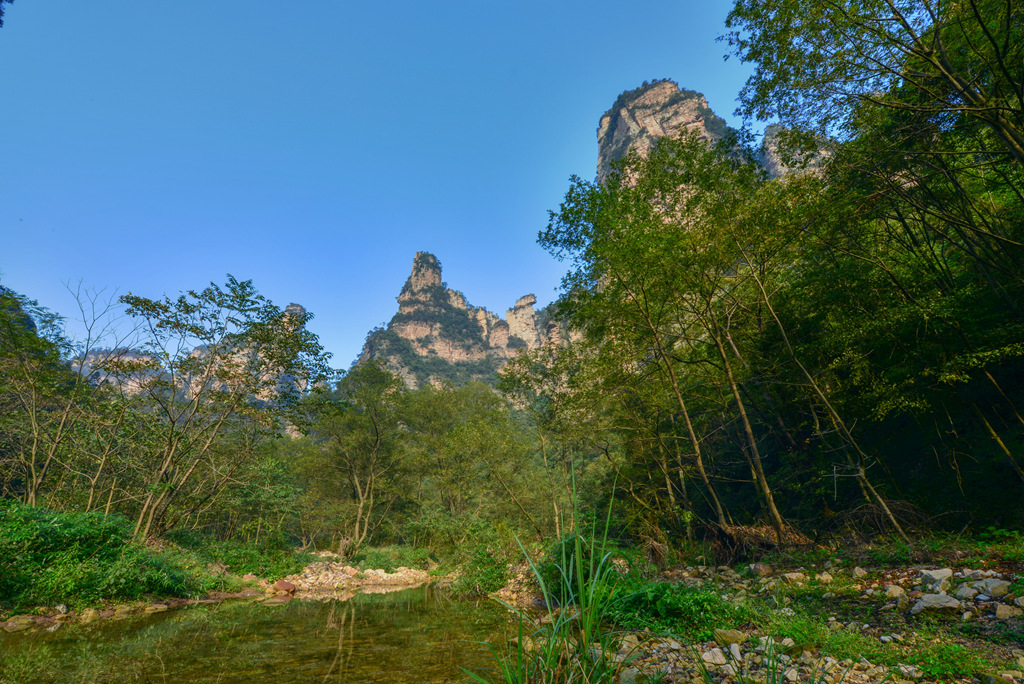 DSC_6204_1.jpg
