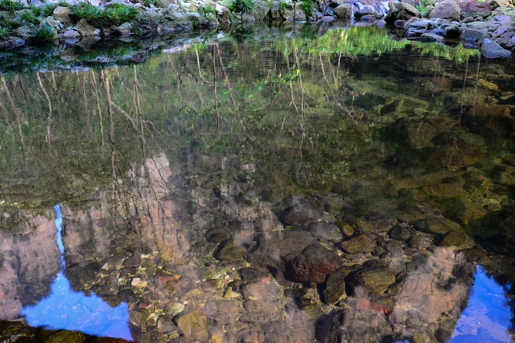 DSC_6206_1.jpg