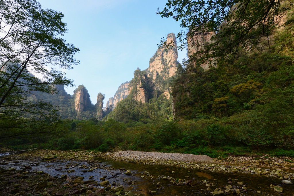 DSC_6208_1.jpg