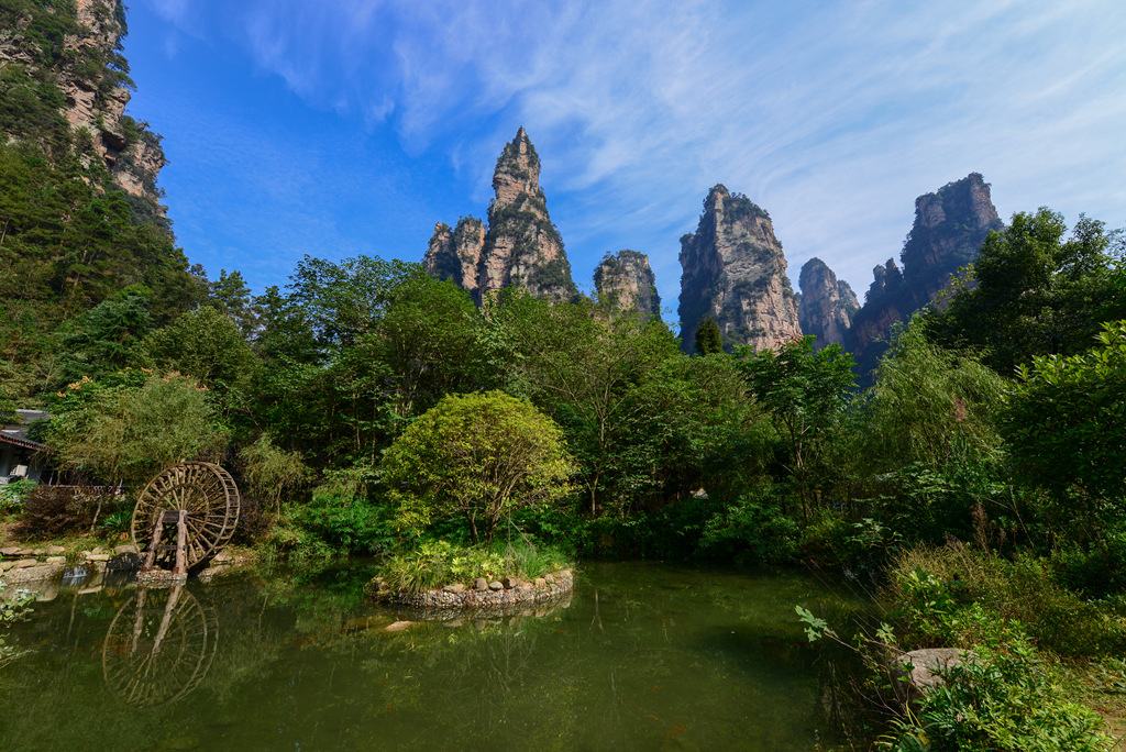 DSC_6266_1.jpg