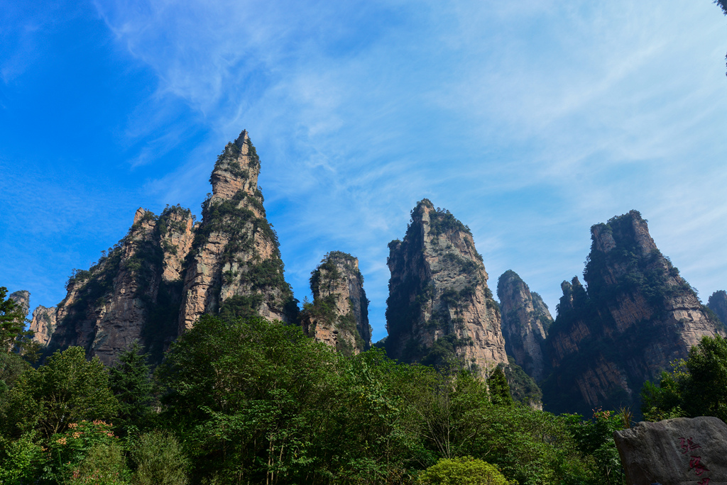 DSC_6267_1.jpg