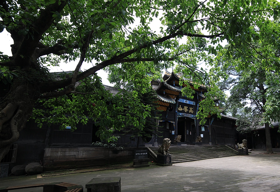B07.JPG