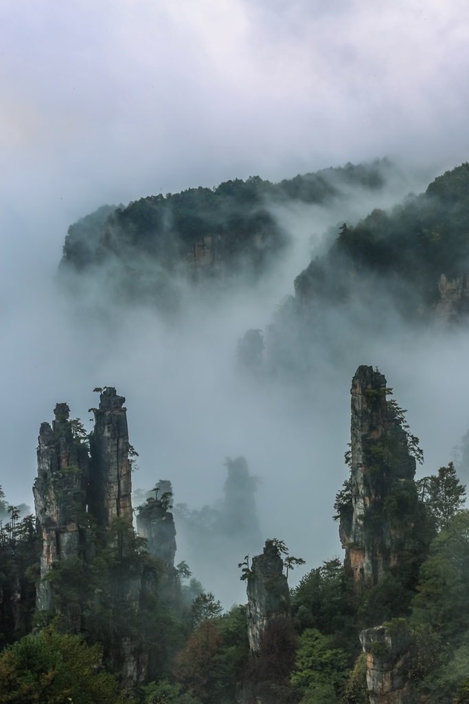“459A2595”为智能对象-1.jpg
