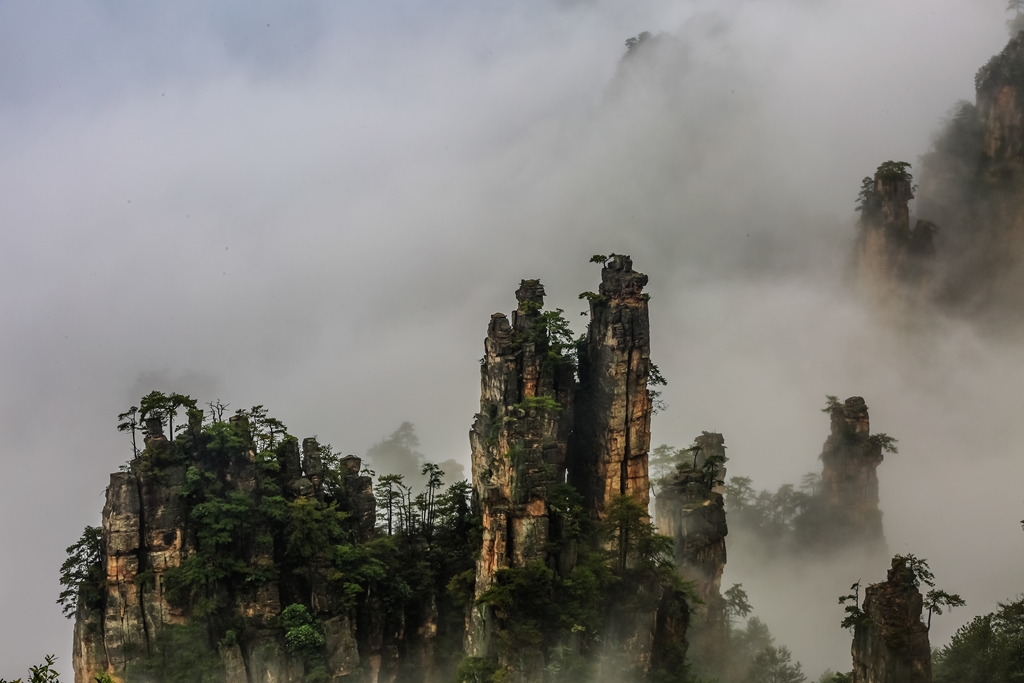“459A2636”为智能对象-1.jpg