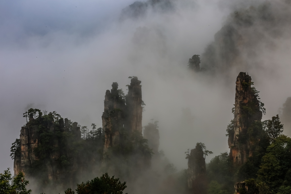 “459A2639”为智能对象-1.jpg