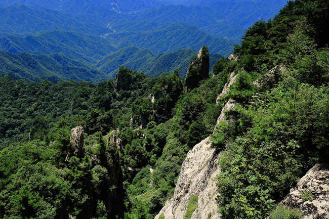5D3_8555.jpg