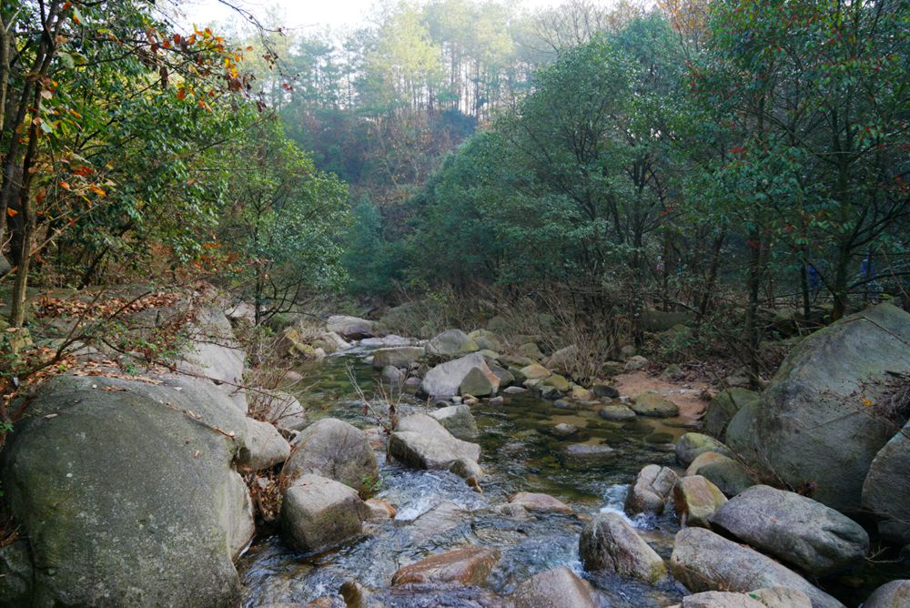 DSC04795_副本.jpg