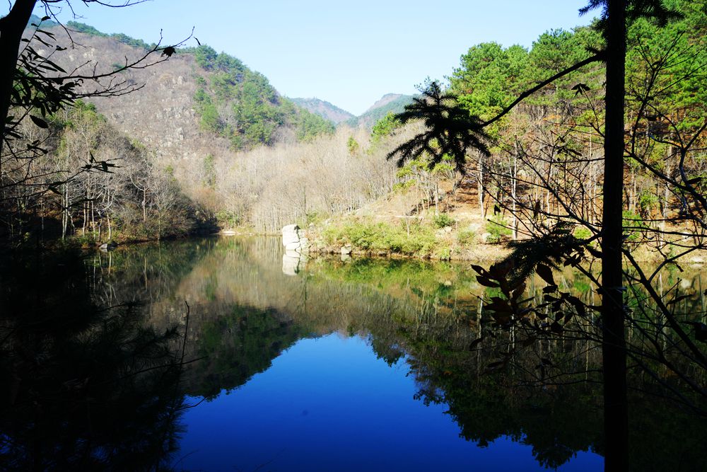 DSC05028_副本.jpg