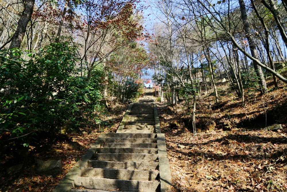 DSC05037_副本.jpg