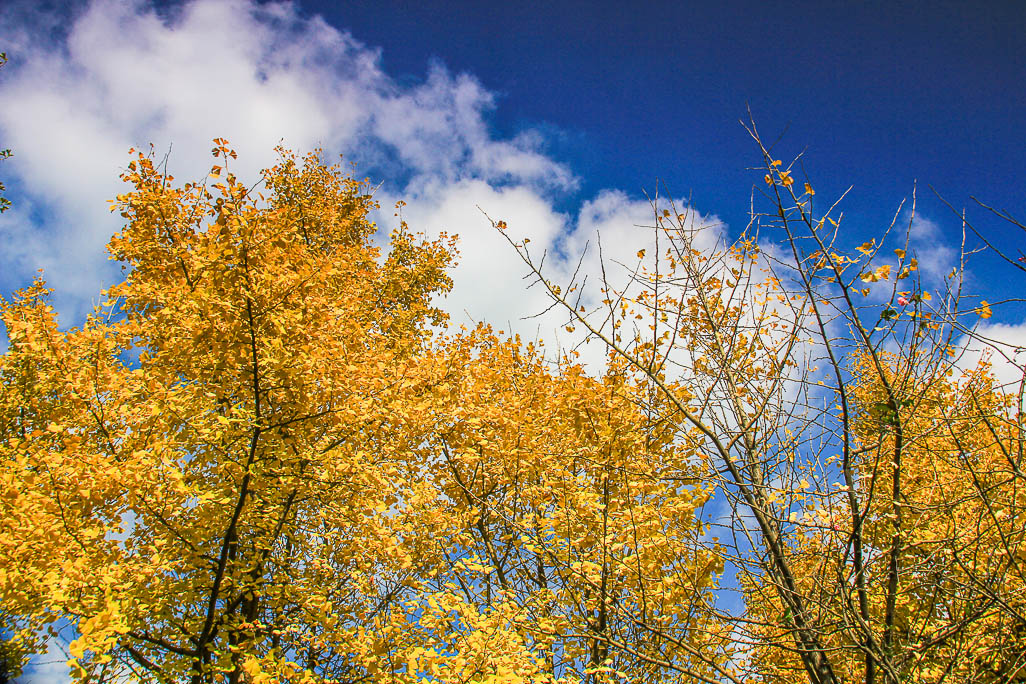 IMG_6210-2.jpg