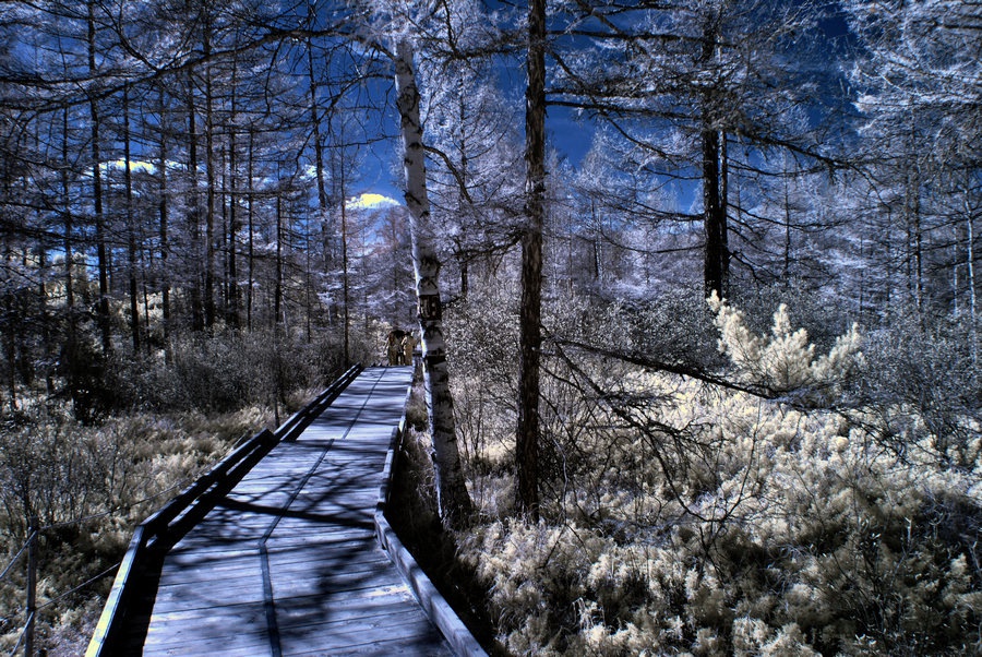 DSC_0577.JPG