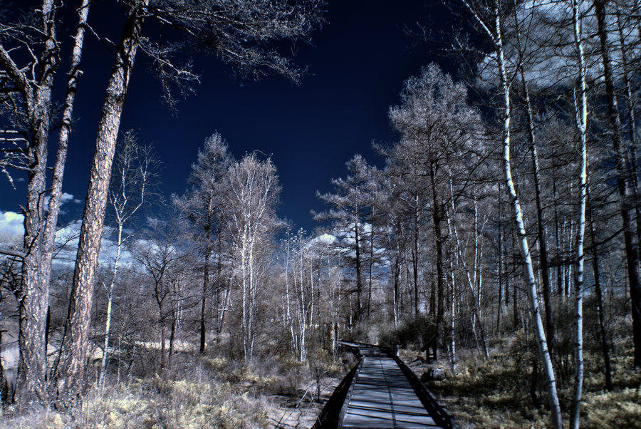 DSC_0599.JPG