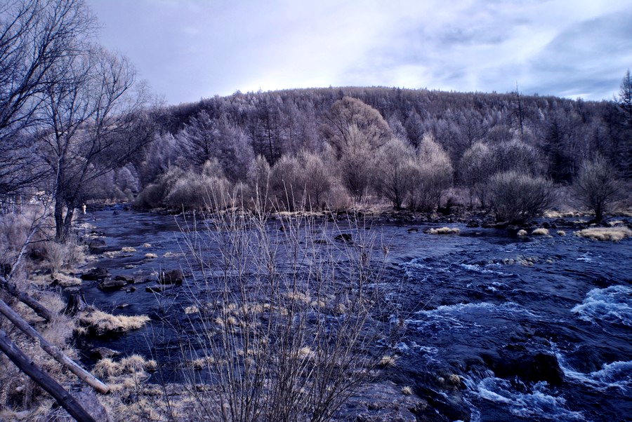 DSC_0773.jpg