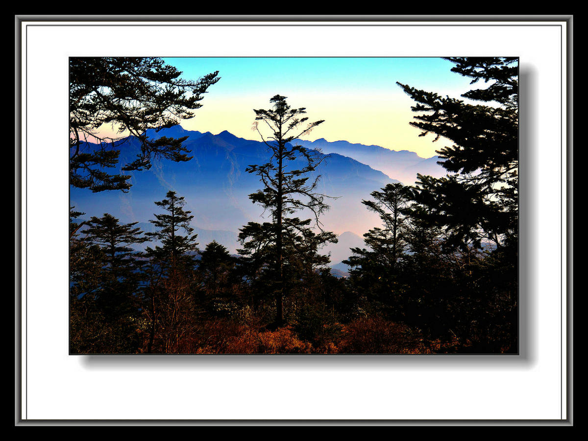 DSC_9835_副本_副本.jpg