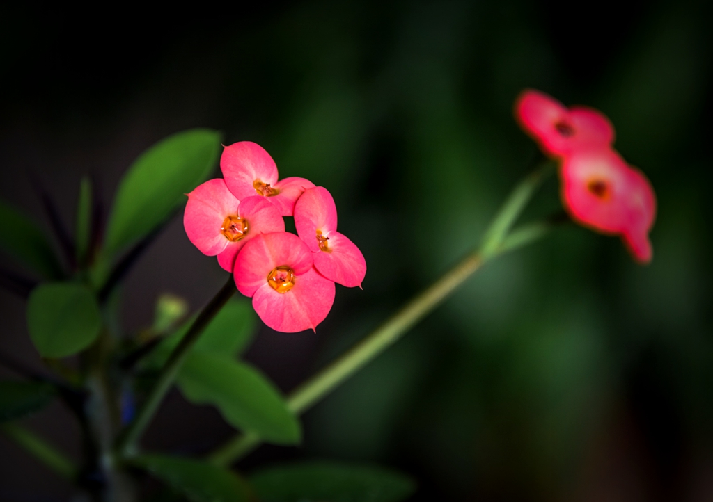 “IMG_1491”为智能对象-1.jpg