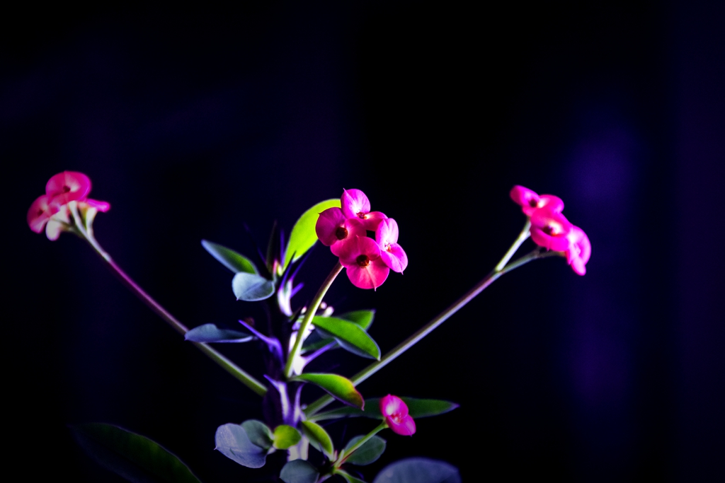 “IMG_1496”为智能对象-1.jpg