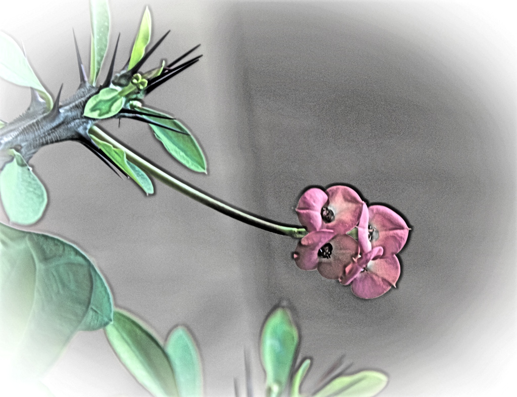 “IMG_1504”为智能对象-1.jpg
