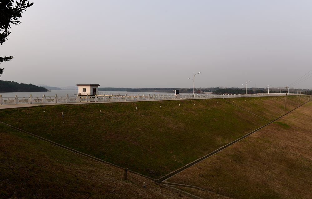 DSC_1407.JPG