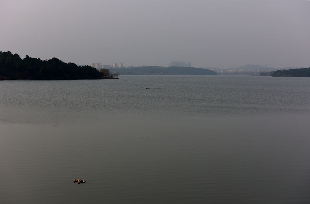DSC_1432.JPG
