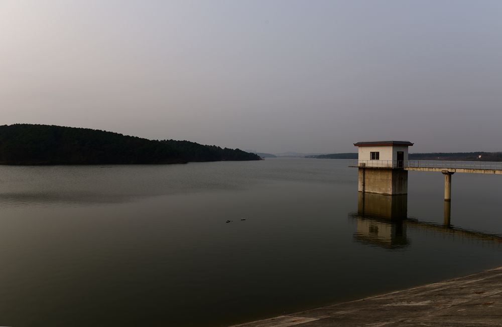 DSC_1410.JPG