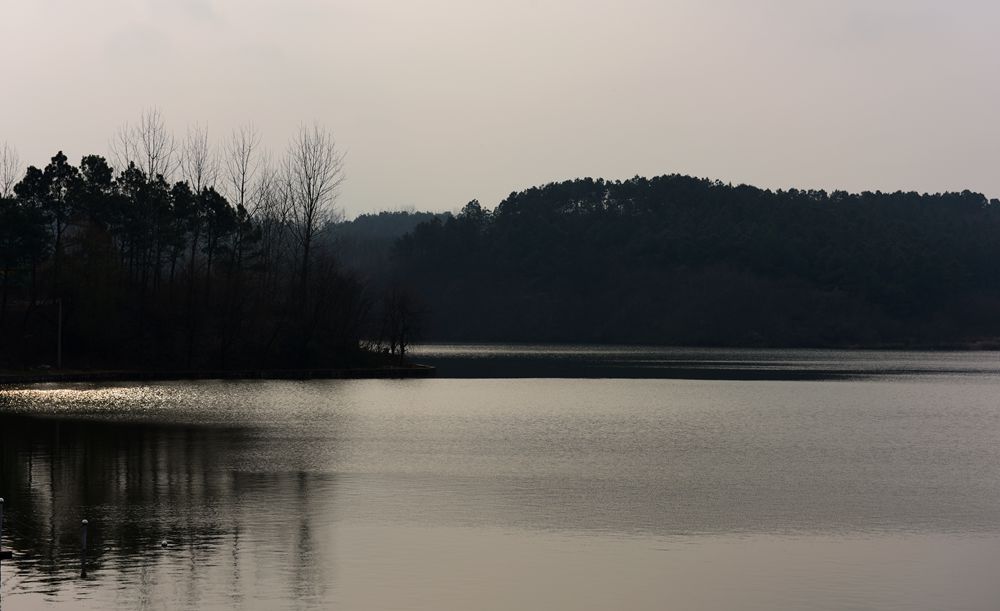DSC_1458.JPG
